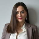Development and Implementation of Business Software: What Is the Role of the Law?